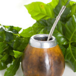 yerba mate poradnik